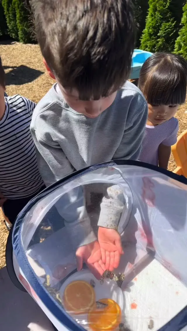 Children observing butterflies outdoors.